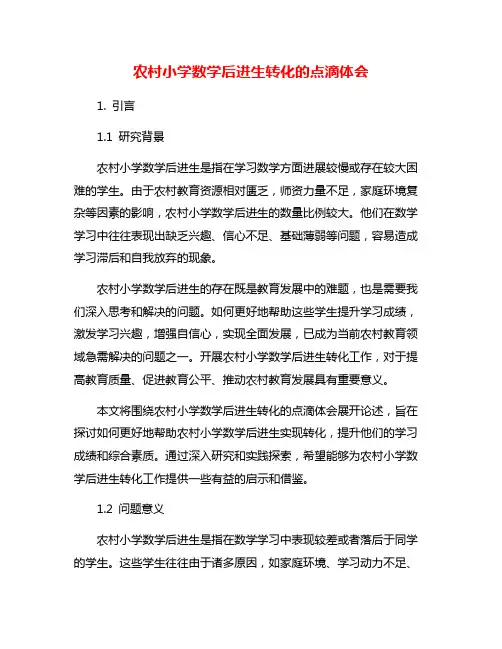 农村小学数学后进生转化的点滴体会