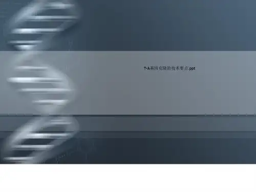 T-A基因克隆的技术要点.ppt