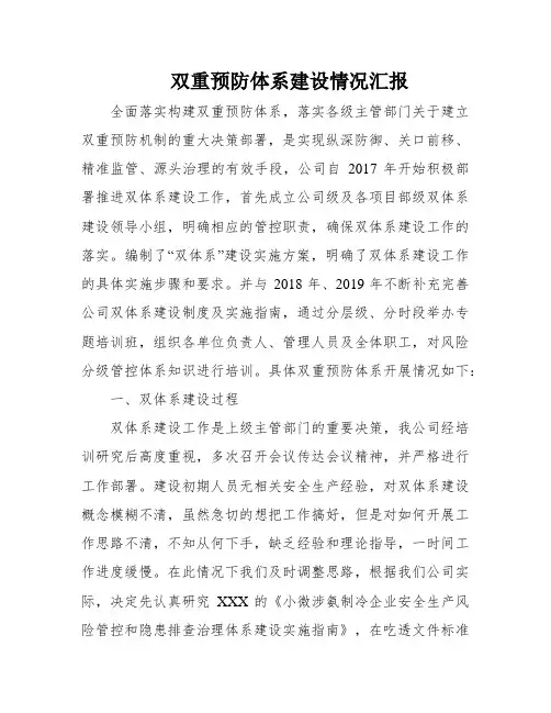 双重预防体系建设情况汇报