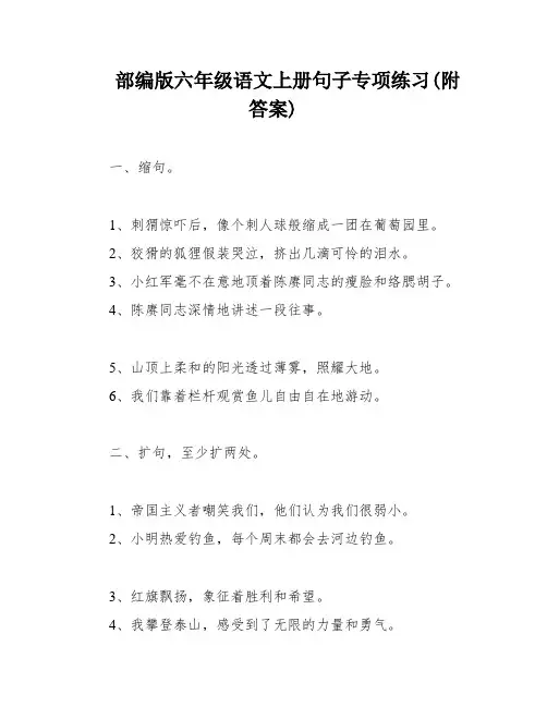 部编版六年级语文上册句子专项练习(附答案)