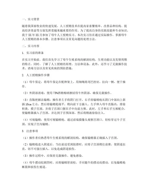 母牛人工授精实习报告