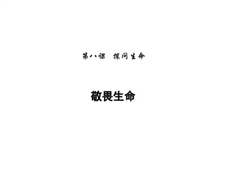 [人教版]道德与法治七年级上册-8.2敬畏生命 课件