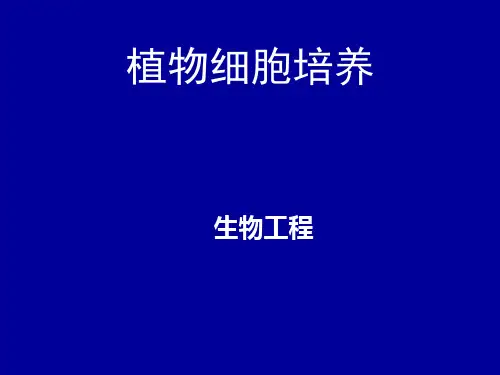 植物细胞培养