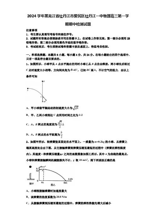 2024学年黑龙江省牡丹江市爱民区牡丹江一中物理高三第一学期期中检测试题含解析