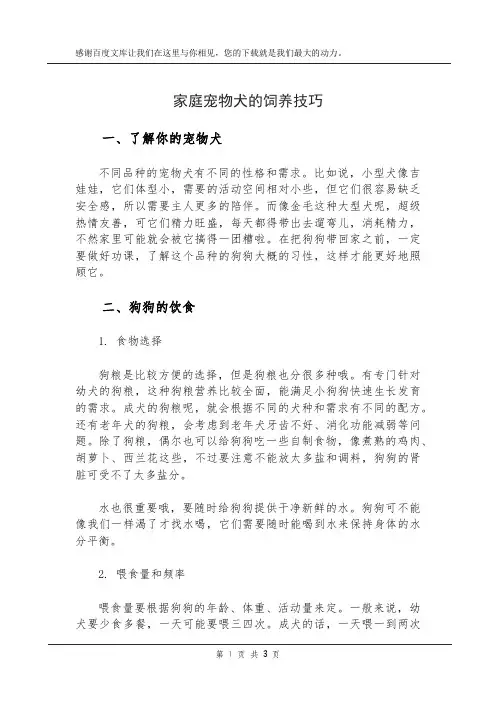 家庭宠物犬的饲养技巧