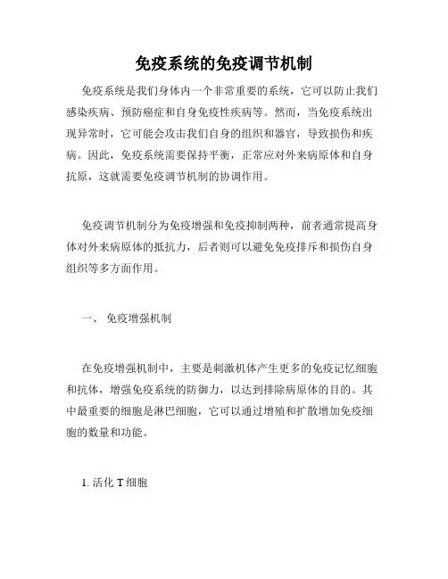 免疫系统的免疫调节机制