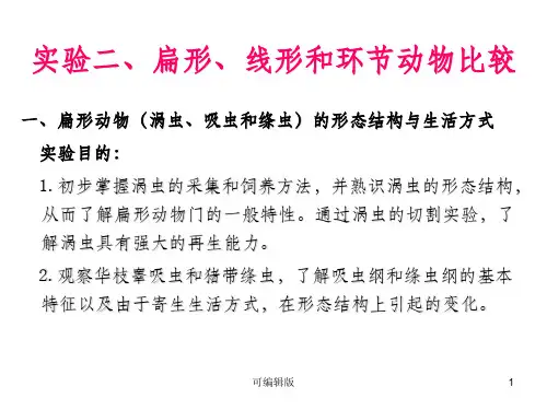 实验扁形、线形和环节动物比较