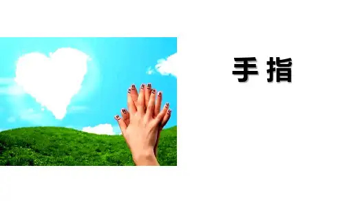 部编版五年级下册语文《手指》PPT课文电子课件