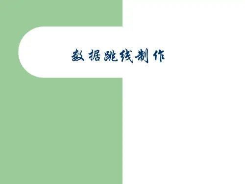 第 十三次课数据跳线的制作