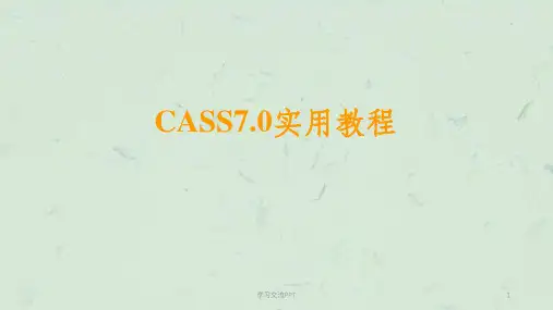 南方测绘CASS7[1].0实用教程课件