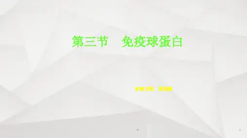 《免疫球蛋白》PPT课件