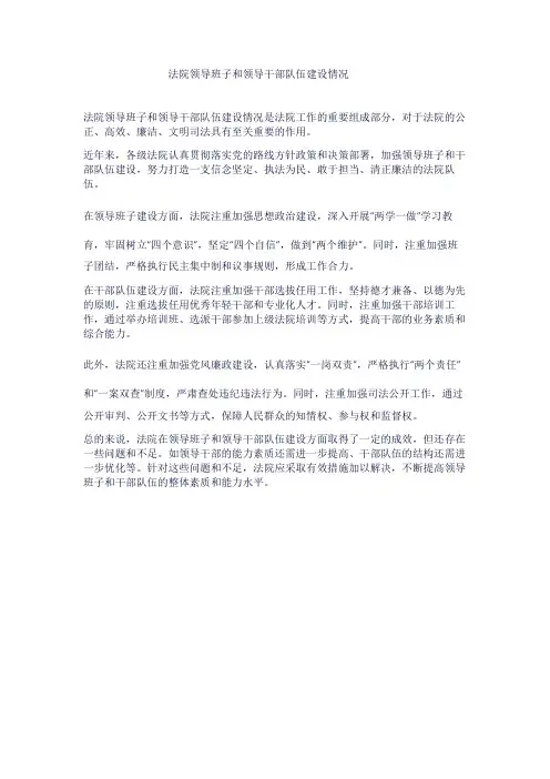 法院 领导班子和领导干部队伍建设情况年度报告