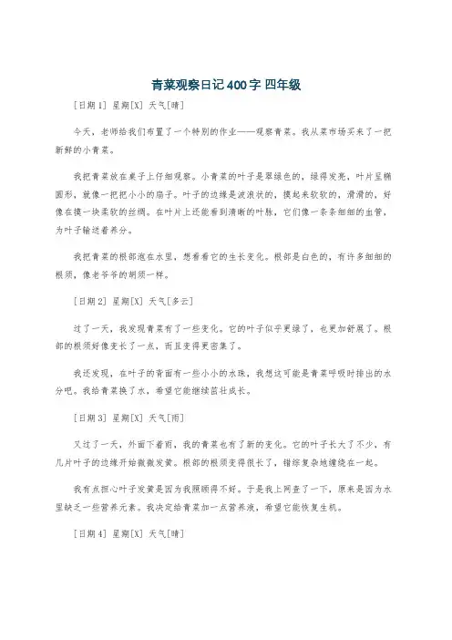 青菜观察日记400字 四年级