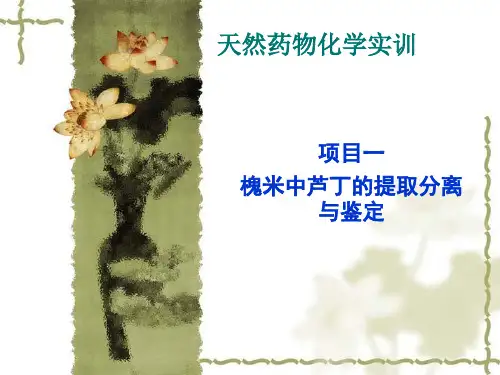 槐米中芦丁的提取分离与鉴定(1)