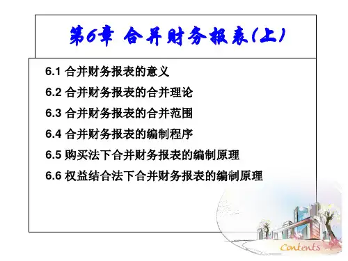 合并财务报表(PPT 79页)