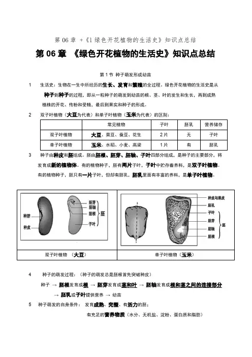 第06章 +《l绿色开花植物的生活史》知识点总结