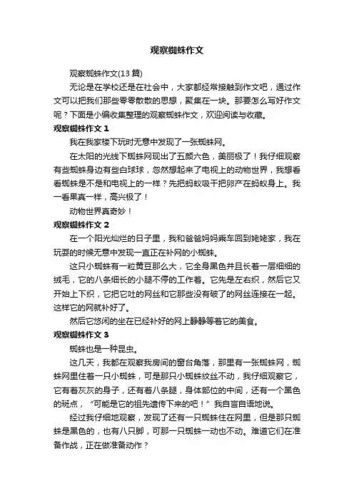 观察蜘蛛作文（13篇）