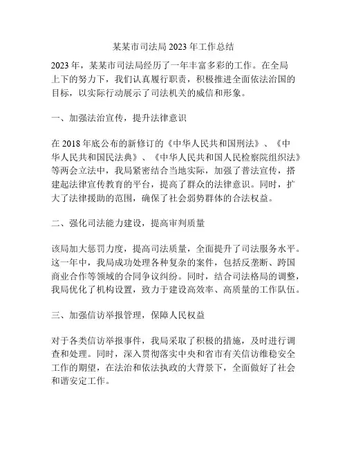 某某市司法局2023年工作总结