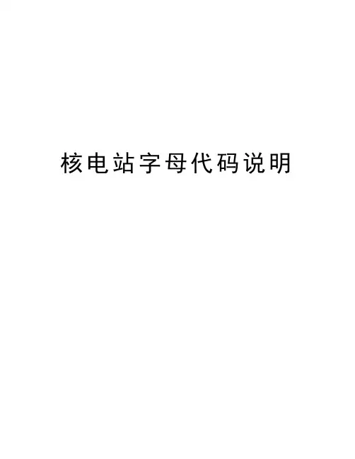 核电站字母代码说明知识讲解