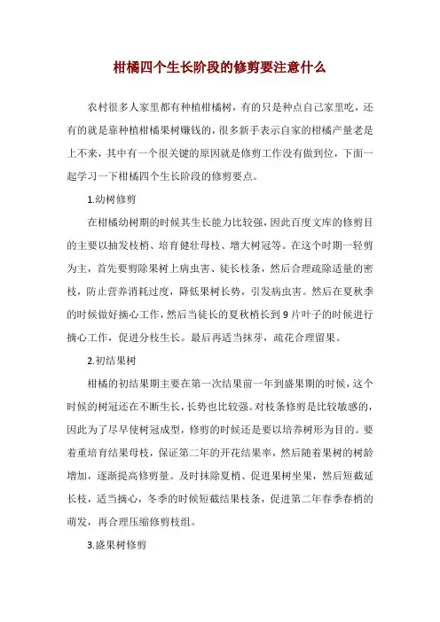 柑橘四个生长阶段的修剪要注意什么