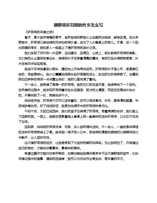 摘野菜折耳根的作文怎么写
