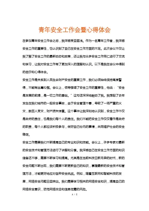 青年安全工作会暨心得体会