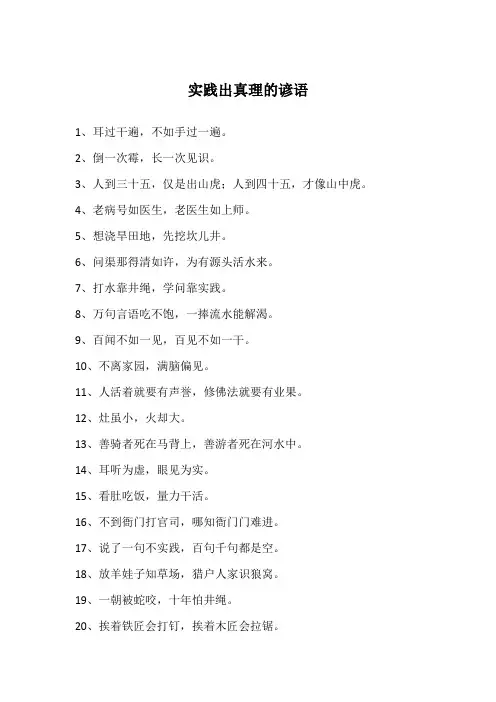 实践出真理的谚语