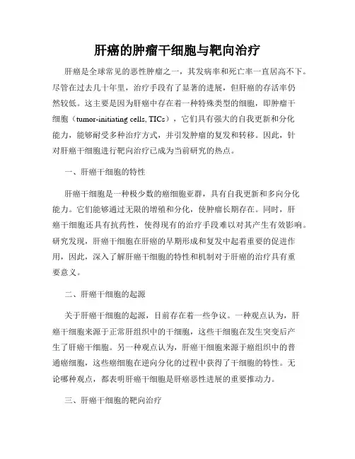 肝癌的肿瘤干细胞与靶向治疗