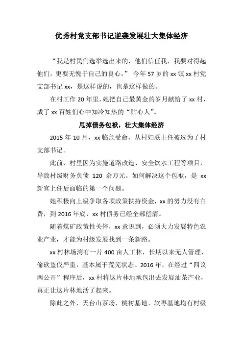 优秀村党支部书记逆袭发展壮大集体经济
