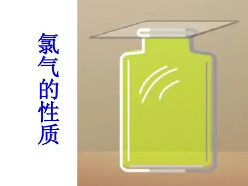 氯气的性质