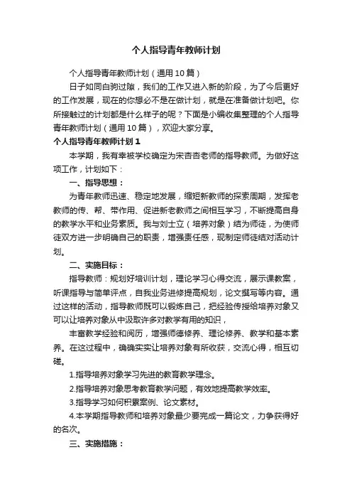 个人指导青年教师计划