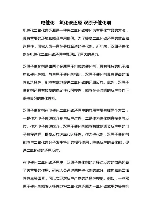 电催化二氧化碳还原 双原子催化剂