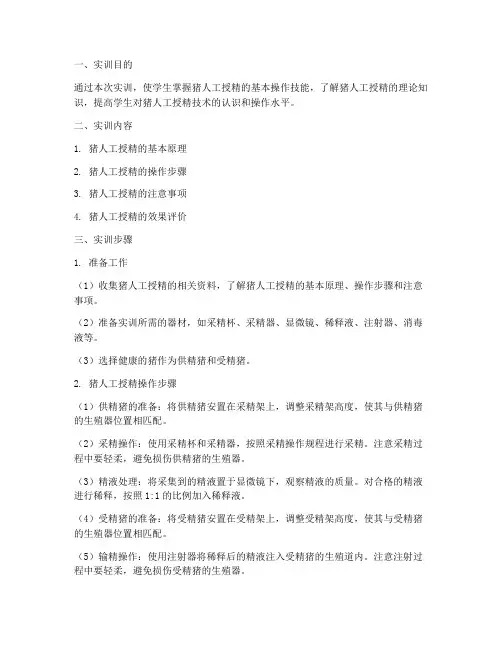 猪人工授精实训报告步骤