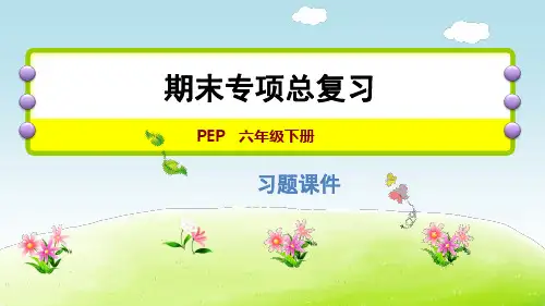 人教版(PEP)六年级下册英语期末--情景交际专项课件
