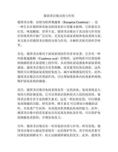 德国圣洁莓功效与作用