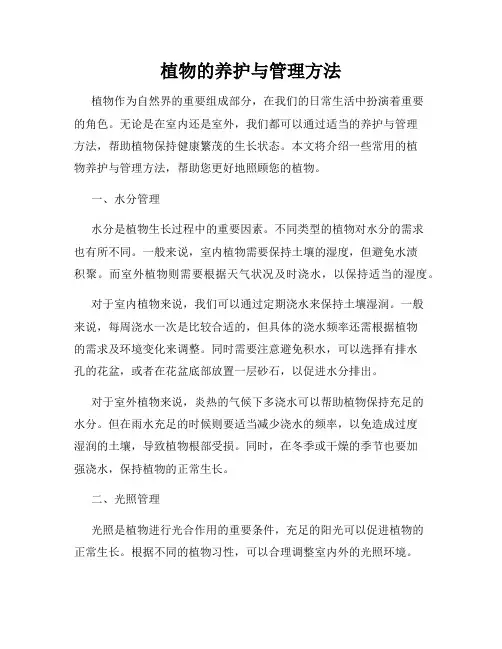植物的养护与管理方法
