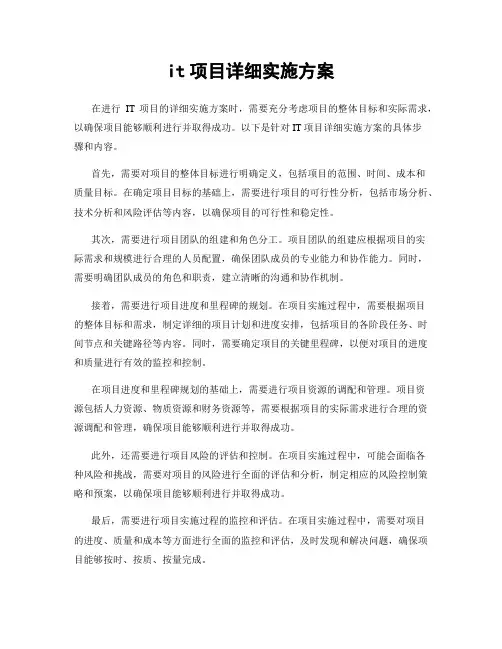 it项目详细实施方案