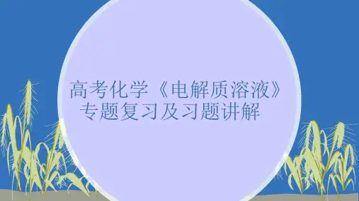 高考化学《电解质溶液》专题复习及习题讲解