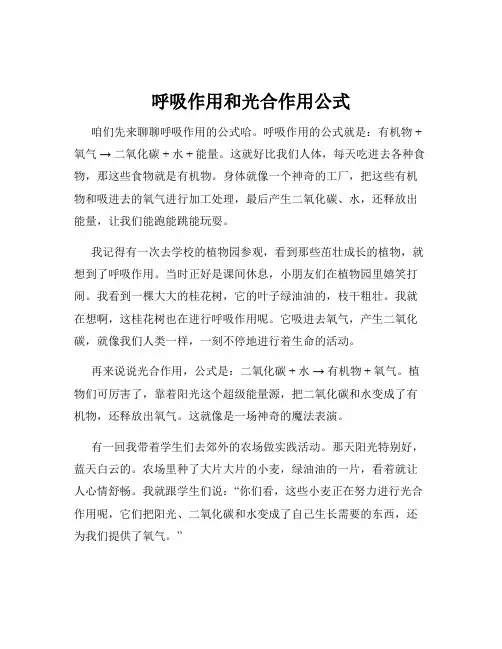 呼吸作用和光合作用公式