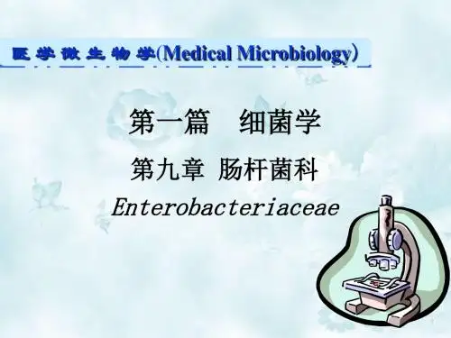 09肠杆菌科