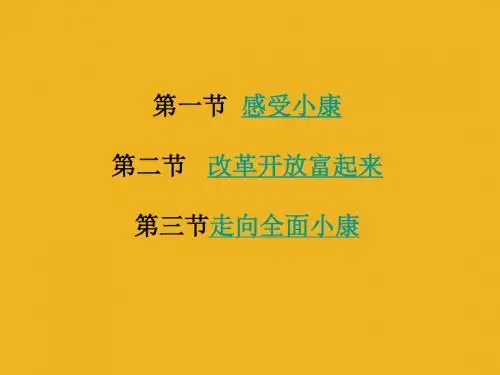 思想品德：第三单元《走进小康时代》复习课件-(湘师版八年级下)(教学课件2019)
