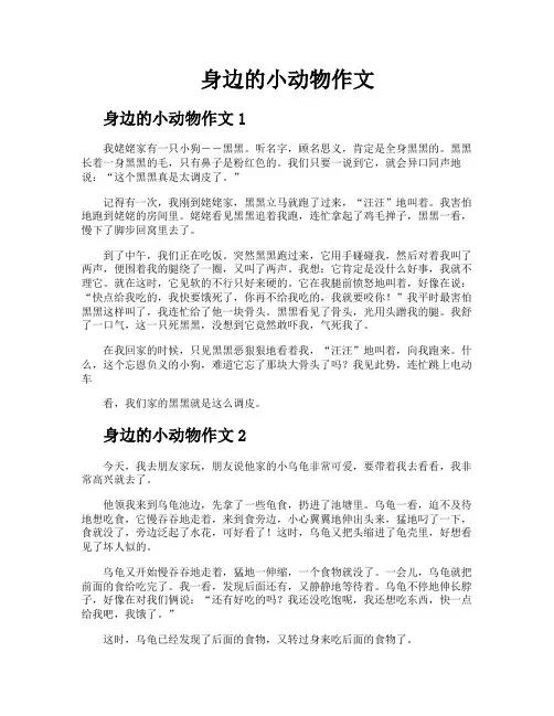 身边的小动物作文