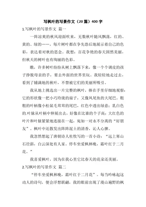 写枫叶的写景作文(20篇)400字