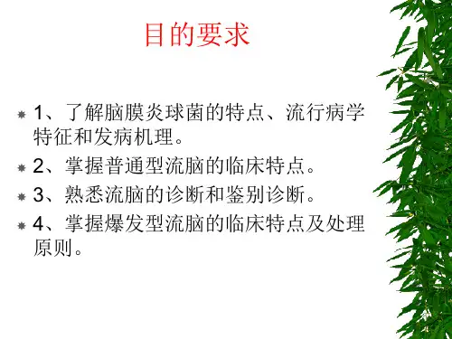 流脑ppt课件