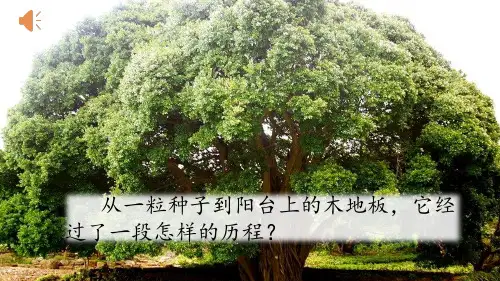 人教部编版语文三年级上册《那一定会很好》ppt课件
