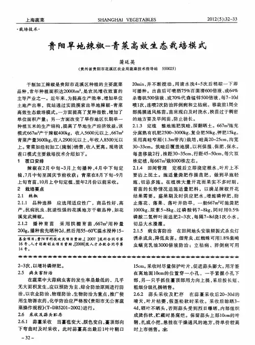 贵阳旱地辣椒--青菜高效生态栽培模式