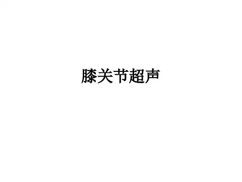 膝关节超声_ppt课件