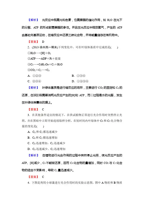 光合作用的原理和应用同步练习人教版必修一
