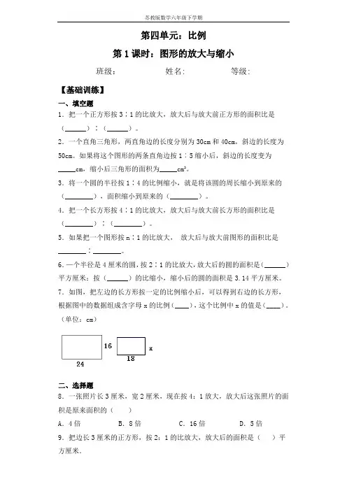 【基础+拔高】4.1图形的放大与缩小-六年级下册数学一课一练  苏教版