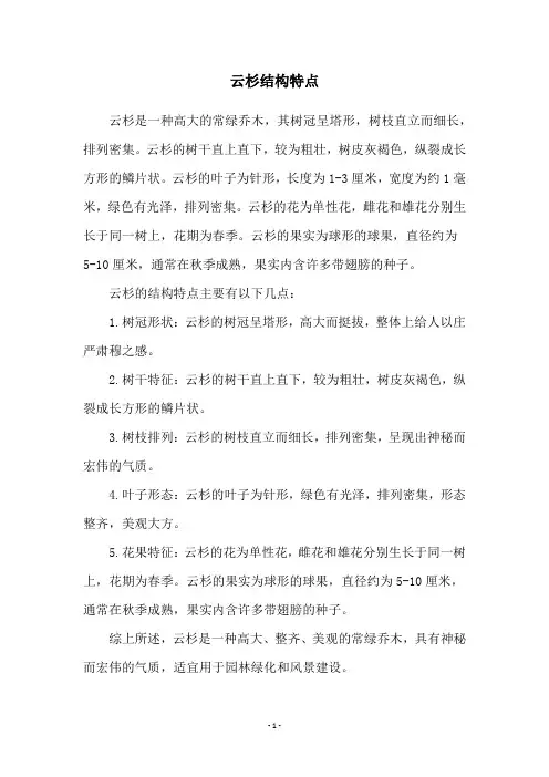 云杉结构特点